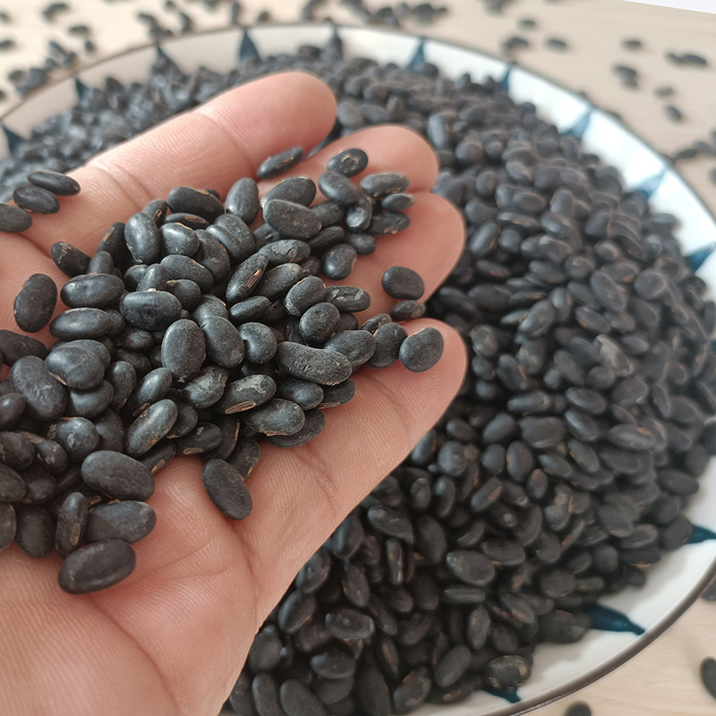 黄心药用小黑豆正宗农家优质扁黄芯肾黑豆豆浆黑豆