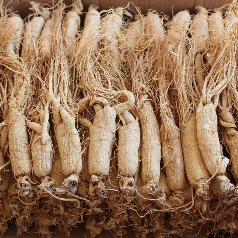 长白山吉林吉林人人参白参原皮生晒参干品250克硫磺人参