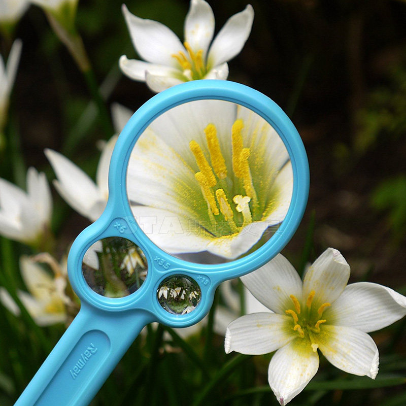 日本raymay藤井观察镜片放大镜3513倍放大儿童安全挂绳放大镜