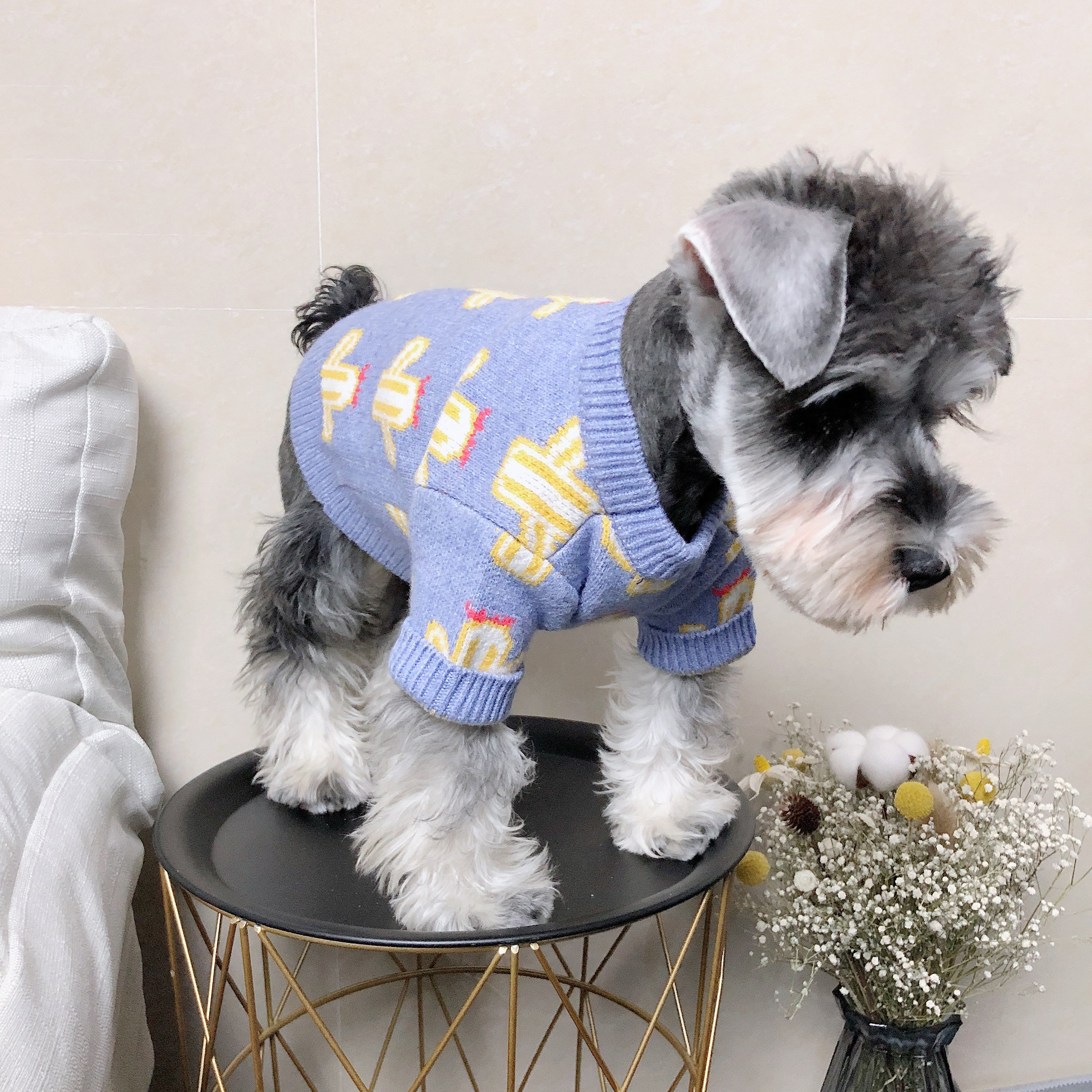 狗狗衣服小型冬装加厚仙人掌毛衣针织衫泰迪纳瑞狗宠物服装