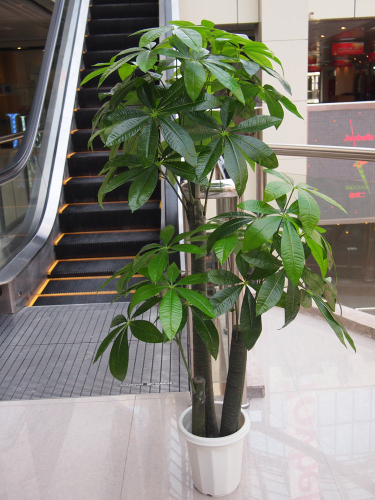 包邮 仿真植物假树绿植物落地客厅 新古树型大发财树装饰绢花