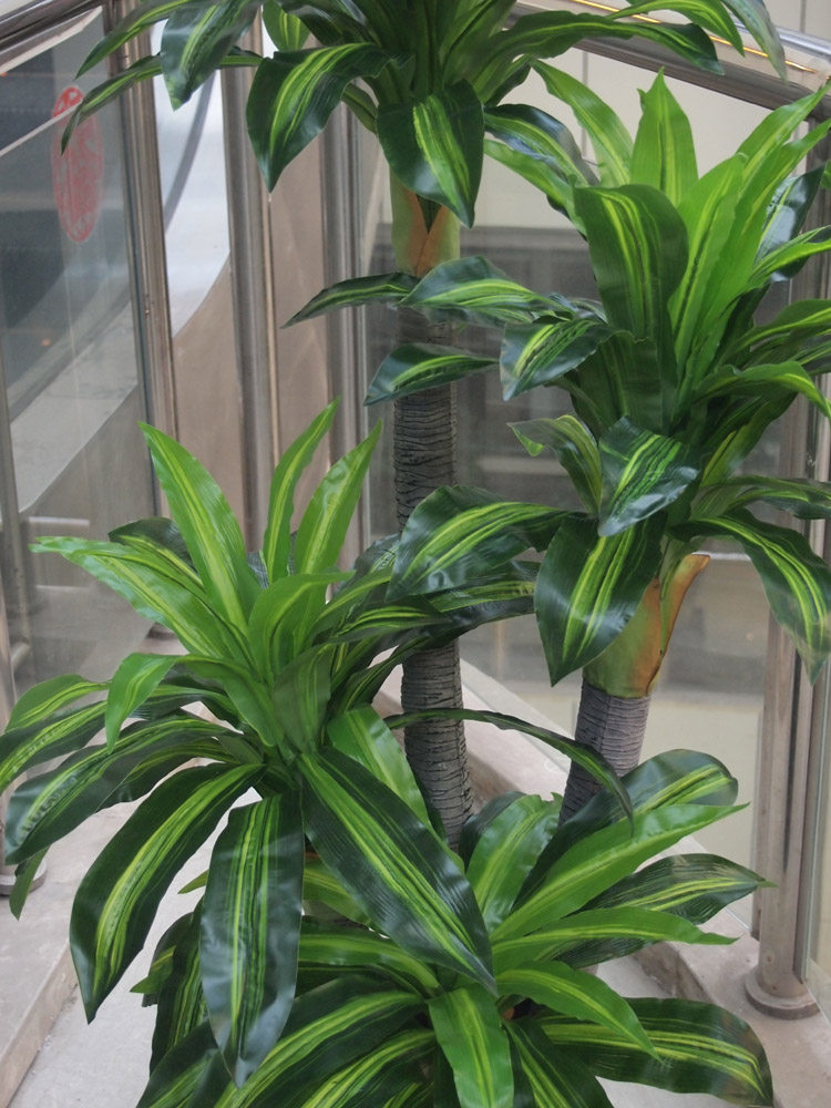 特价高仿真手感植物 4杆黄色巴西木假人造落地盆景树橱窗家装