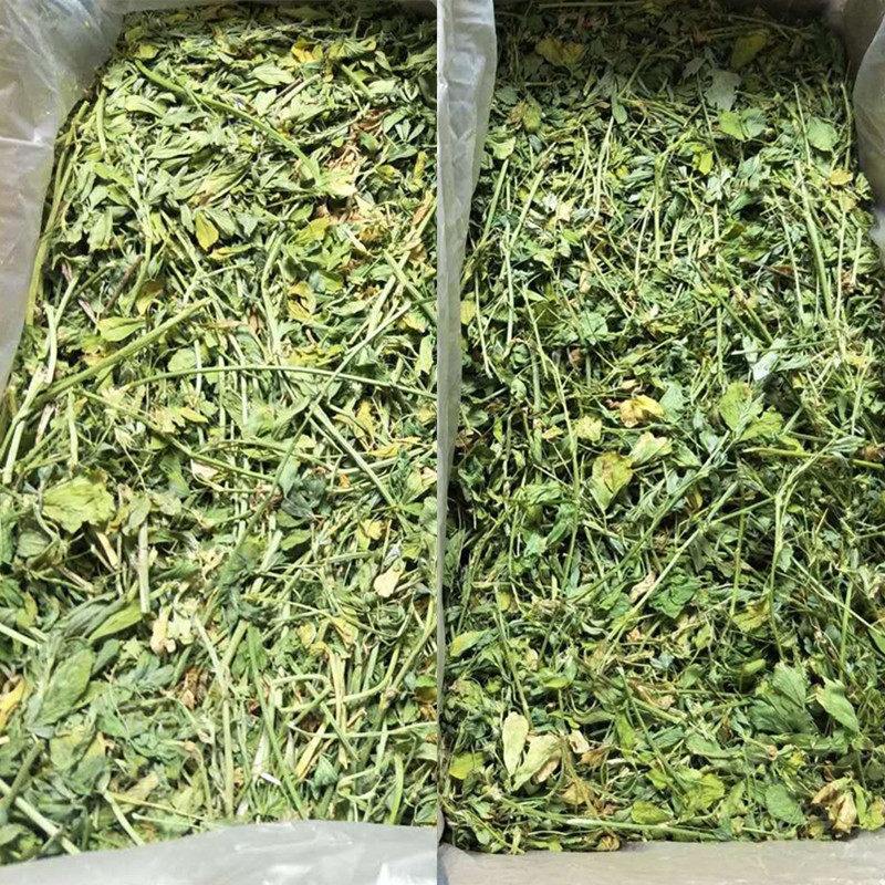 兔爷兔奶 兔子草苜蓿草干草 龙猫垂耳兔草兔粮豚鼠饲料一公斤主粮