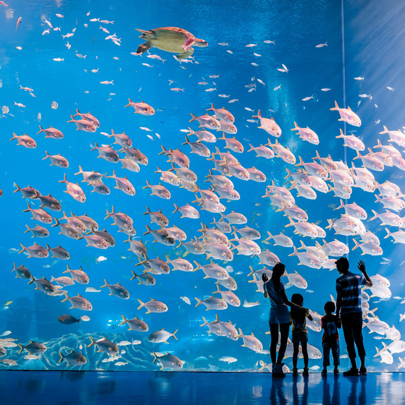 【当天可订 大学生244起】珠海长隆海洋王国大门票 长隆海洋世界