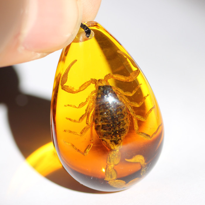 渐变色大蝎子琥珀项链昆虫标本吊坠创意个性装饰品儿童节生日礼物