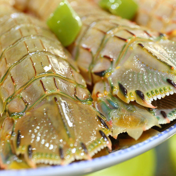 丹东腌虾全母皮皮虾卤虾海鲜虾蛄赖尿虾酱红膏虾类制品