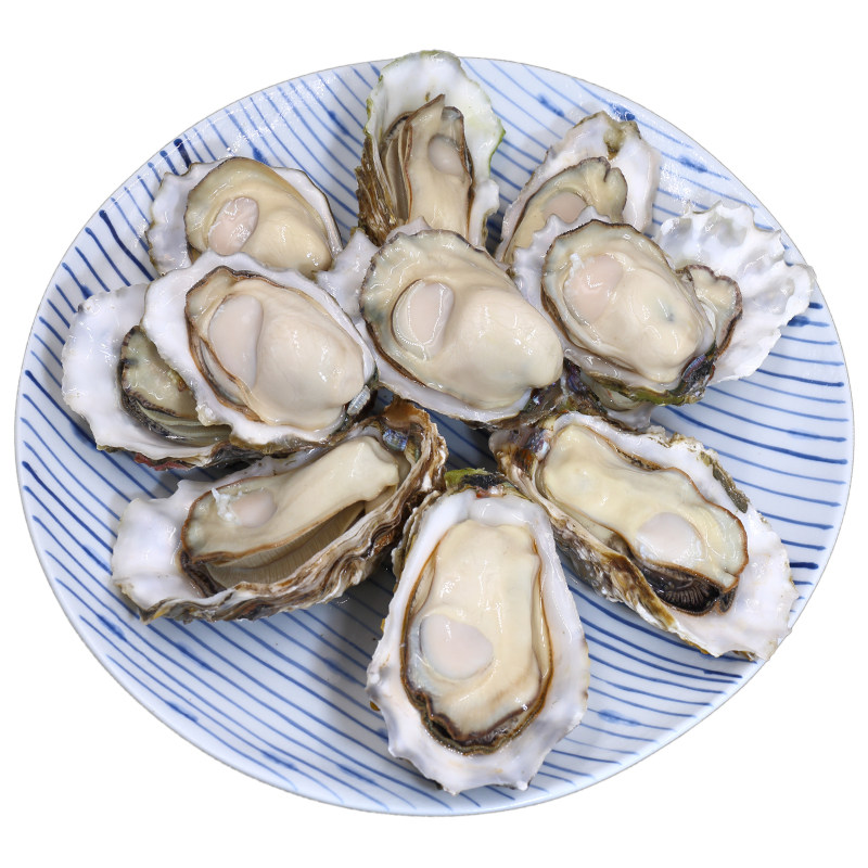 买2斤送一斤鲜活生蚝海蛎子黄海野生牡蛎带壳贝类丹东活海鲜水产