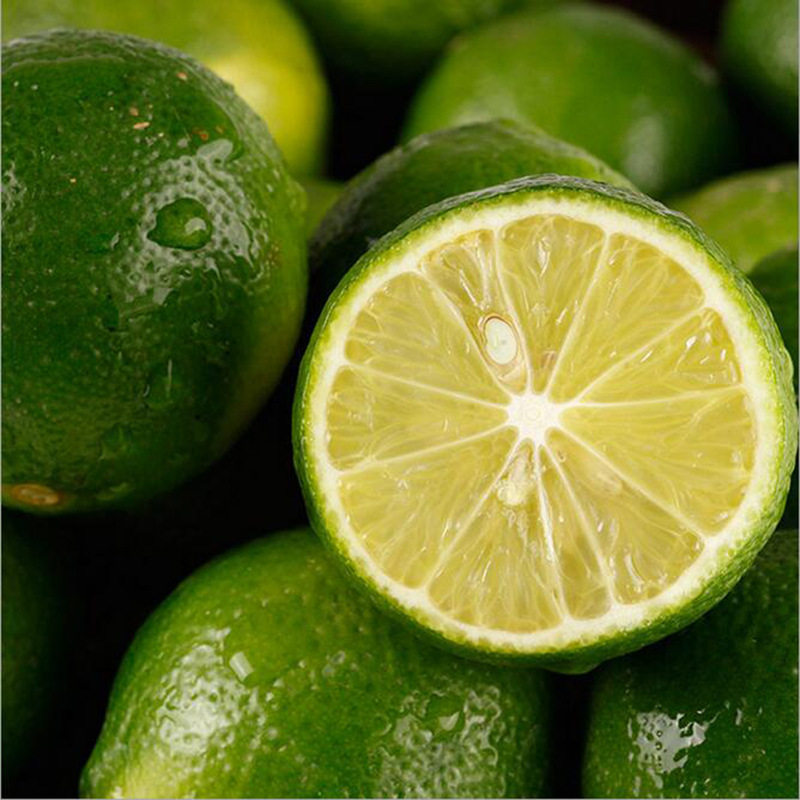 海南青柠檬3斤 新鲜水果柠檬饮料店青柠檬现摘柠檬薄皮多汁大青柠