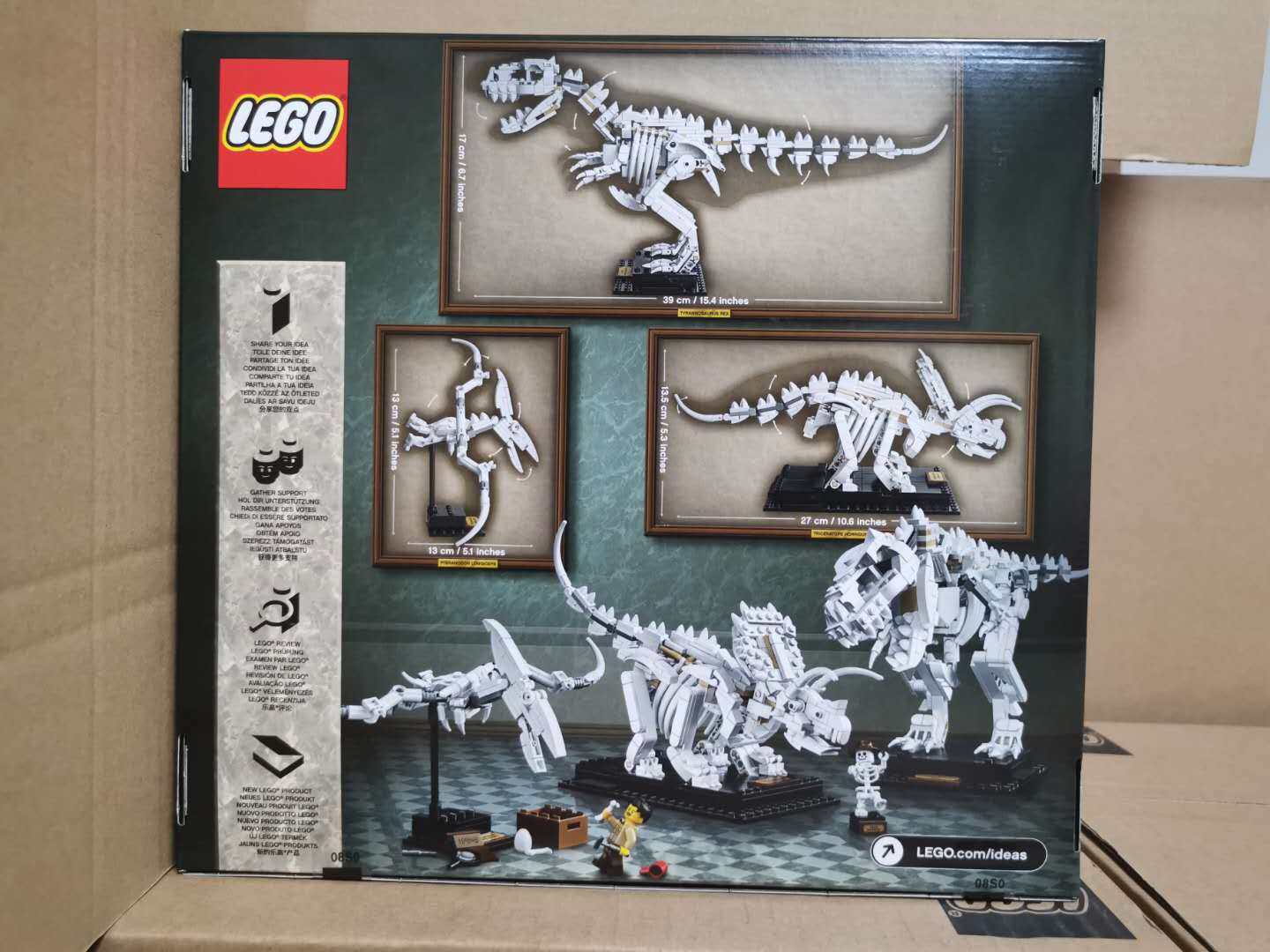 新品乐高lego21320恐龙化石探索圣诞情人节礼物塑料积木