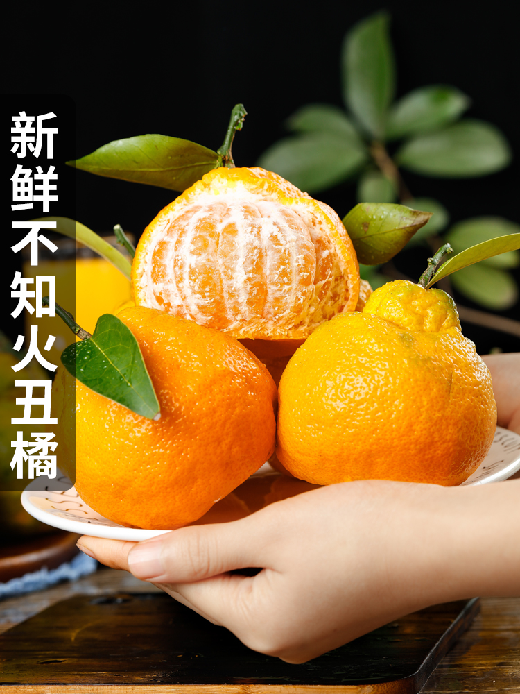不知火丑橘10斤包邮新鲜大果丑八怪橘子水果桔子丑柑蜜橘耙耙柑橘