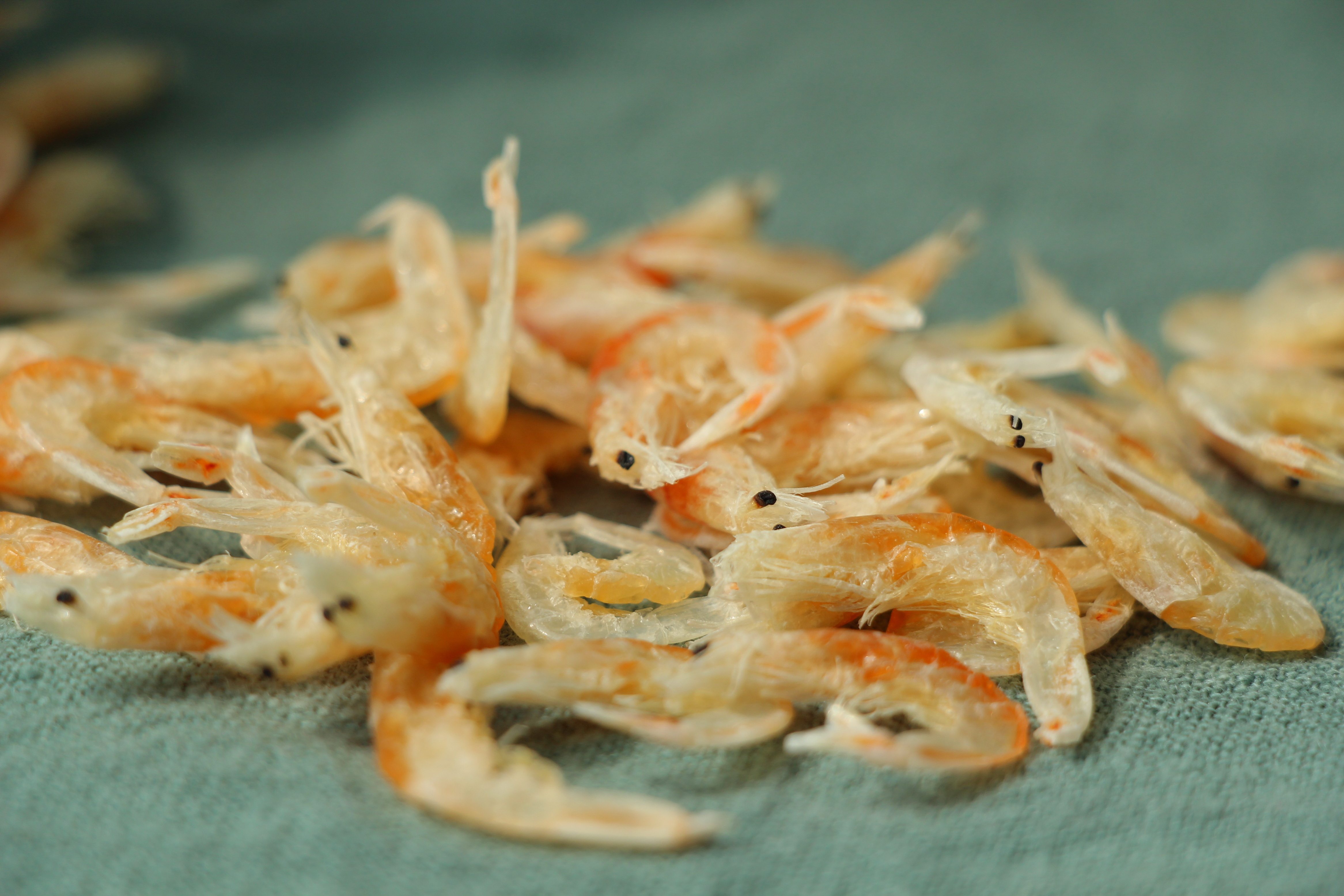 干红虾皮红边150g特级无盐无添加宝宝零食包包虾皮