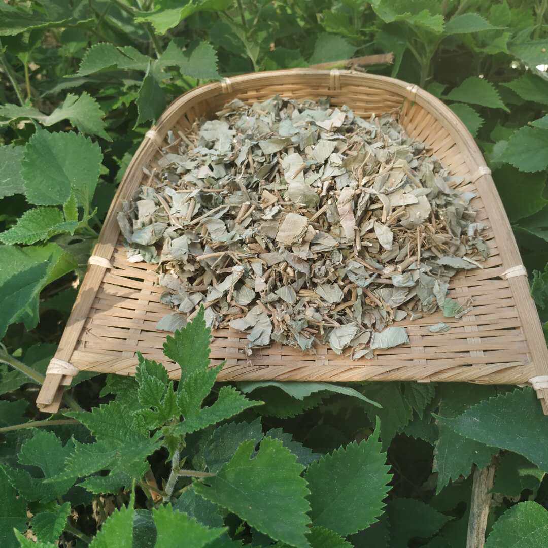 金钱晒干结石内金须鸡玉米草非铜钱黄铜钱过路其他药食同源食品
