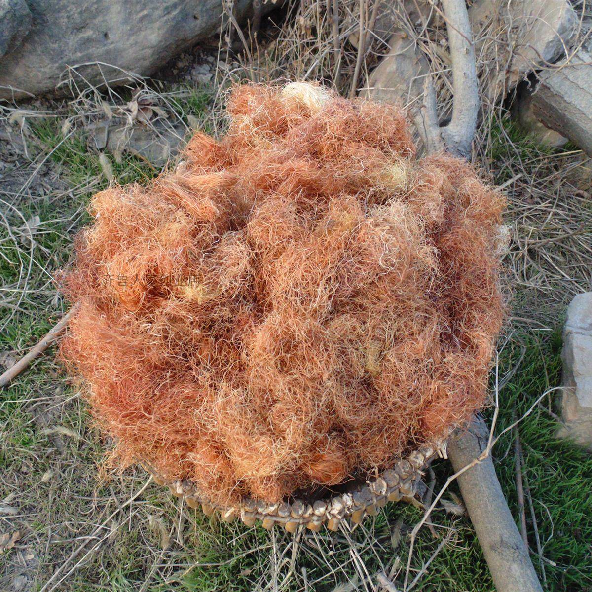 沂蒙山农家天然玉米须茶250克 胎毒天然无硫孕妇茶棒子须另白莲须