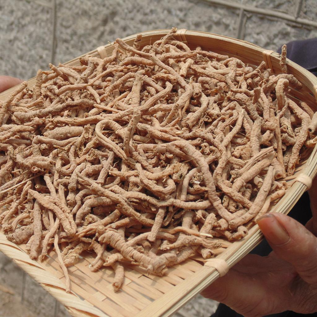 3-5年沂蒙山野生远志筒 去芯抽芯远志筒 非远志肉粉远志丸中药材