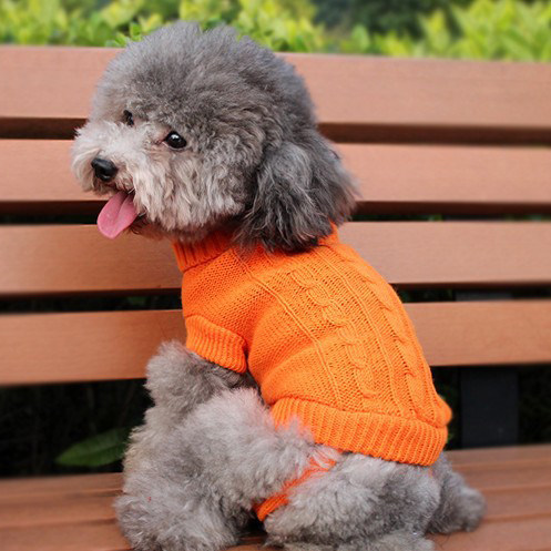 泰迪茶杯犬小毛衣秋冬季衣服小鹿犬超小狗狗狗宠物服装