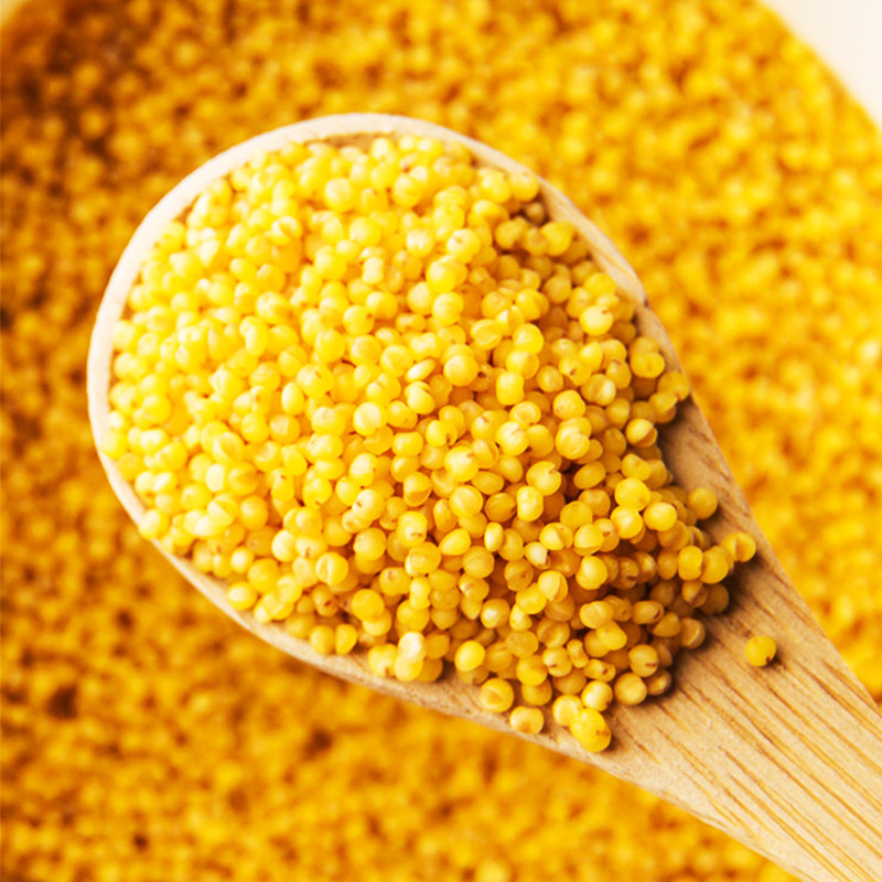 陕西延安特产2018农家杂粮陕北米脂特级食用月子新油小黄小米 5斤