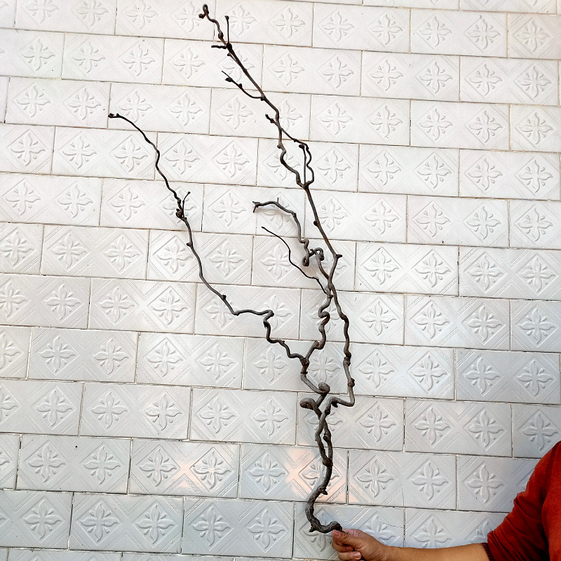 禅意干枝龙枣树枝装饰枯枝天然造型干树支干花干花