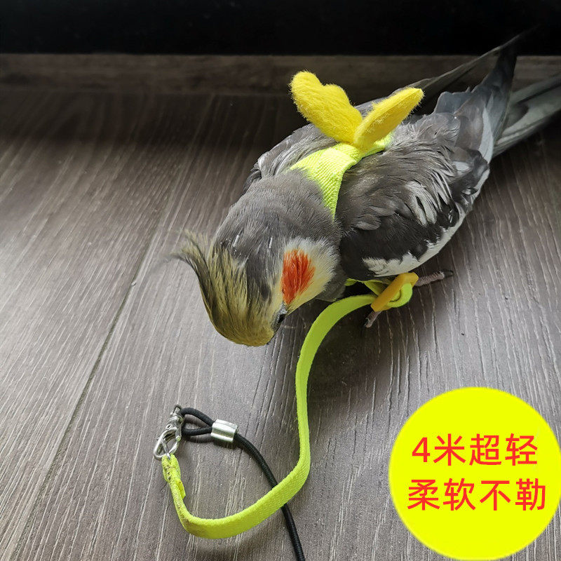 玄风鹦鹉飞行放飞超轻背带外出遛鸟牡丹八哥宠物服装