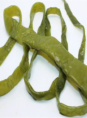 五斤新鲜海白菜盐渍裙带梗海裙菜