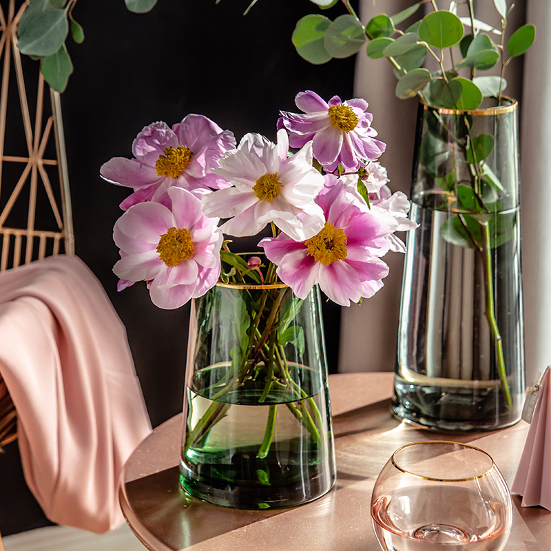 轻奢花瓶摆件客厅插花大透明玻璃水养北欧描金创意简约网红花瓶