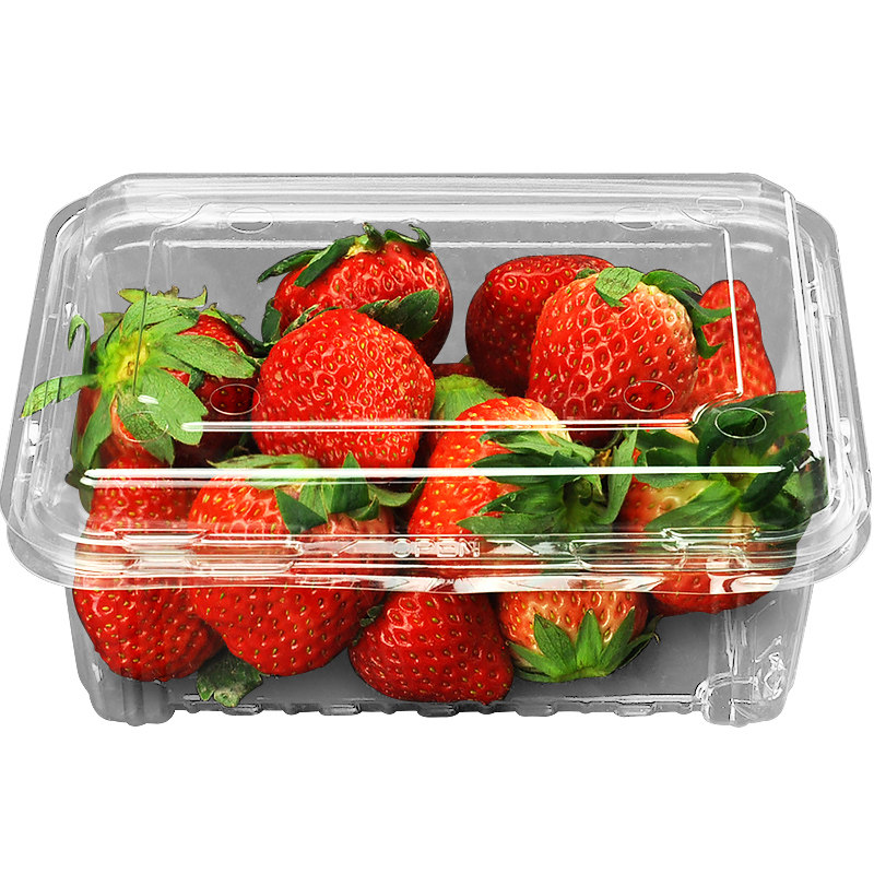 水果一斤装水包装盒一次性盒子草莓透明塑料500克一次性餐盒