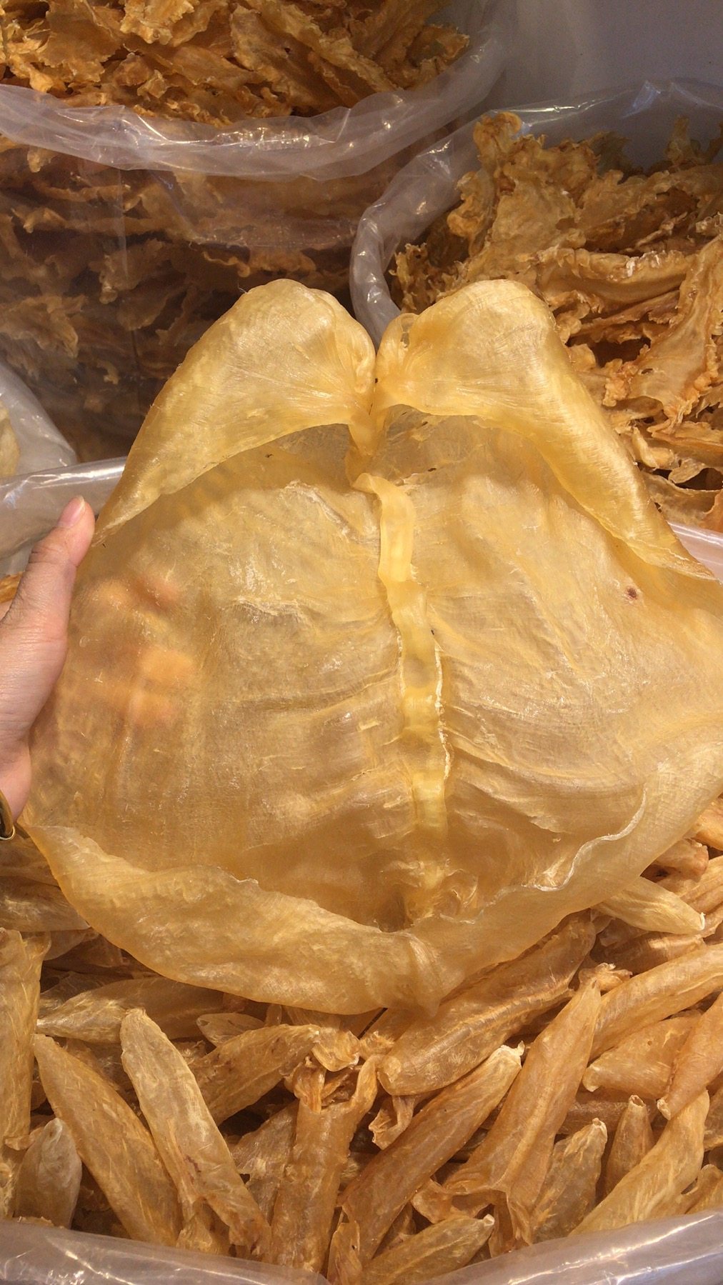 潮汕坐月子要吃黄花鱼胶片花胶1斤1个大个黄花花胶