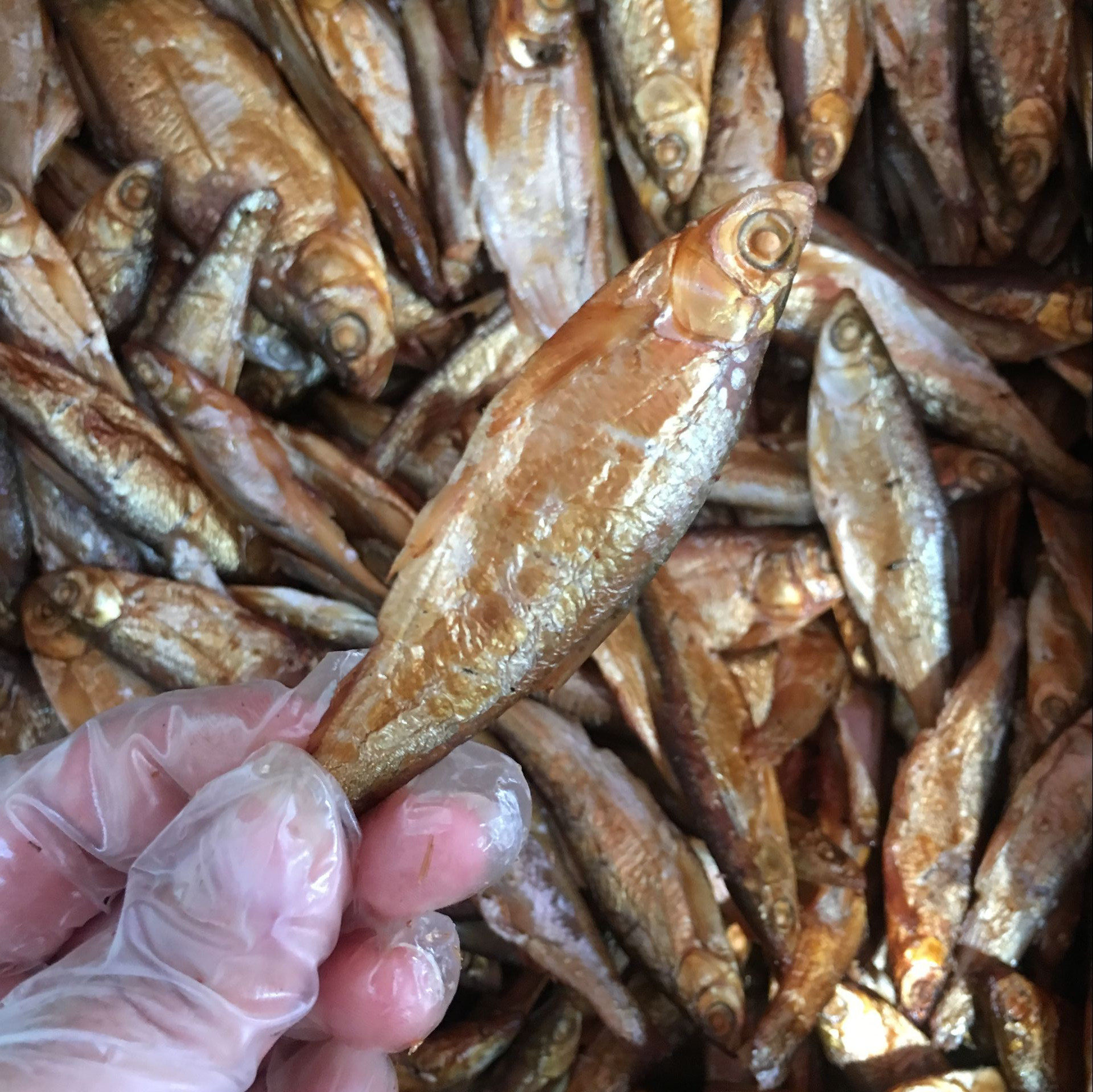 白洋淀特产熏鱼正宗锅包白条鱼锅煲鱼小白白鲢鱼干