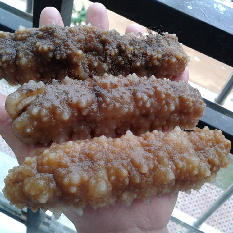 海参黄玉参淡干野干货深海白刺参非辽参即500克海参