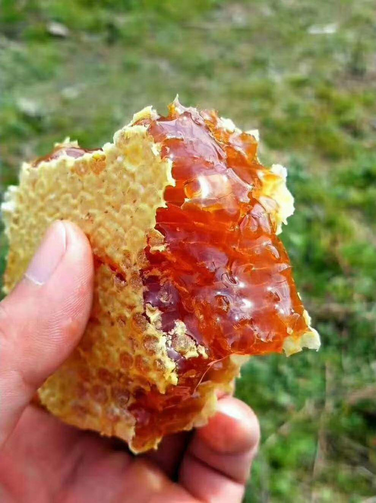 93纯野生血蜜蜂蜜纯正天然农家自产红色蜂蜜女性蜂蜜