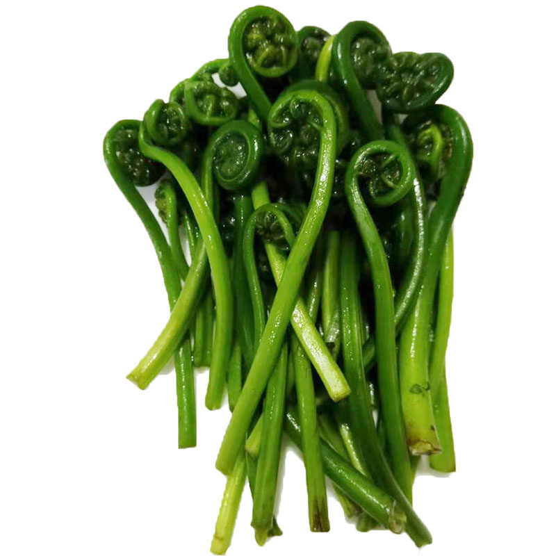 江西水蕨菜拳头菜蕨菜河边新鲜现摘野菜龙爪菜一份一斤3斤包邮
