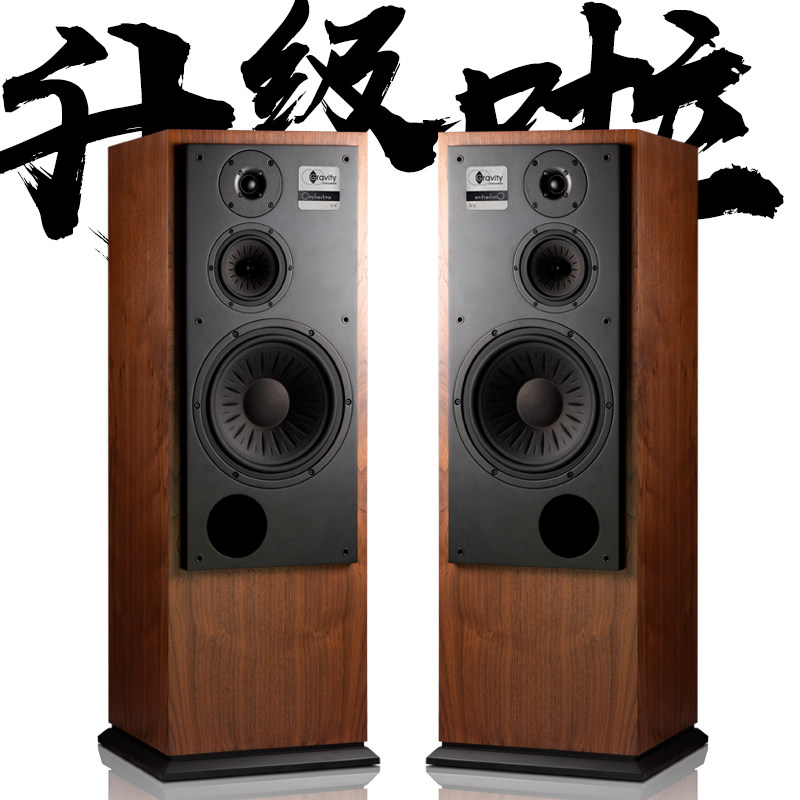 猫哥精选管弦乐v1f原装进口德国单元三分频11寸发烧hifi落地音箱