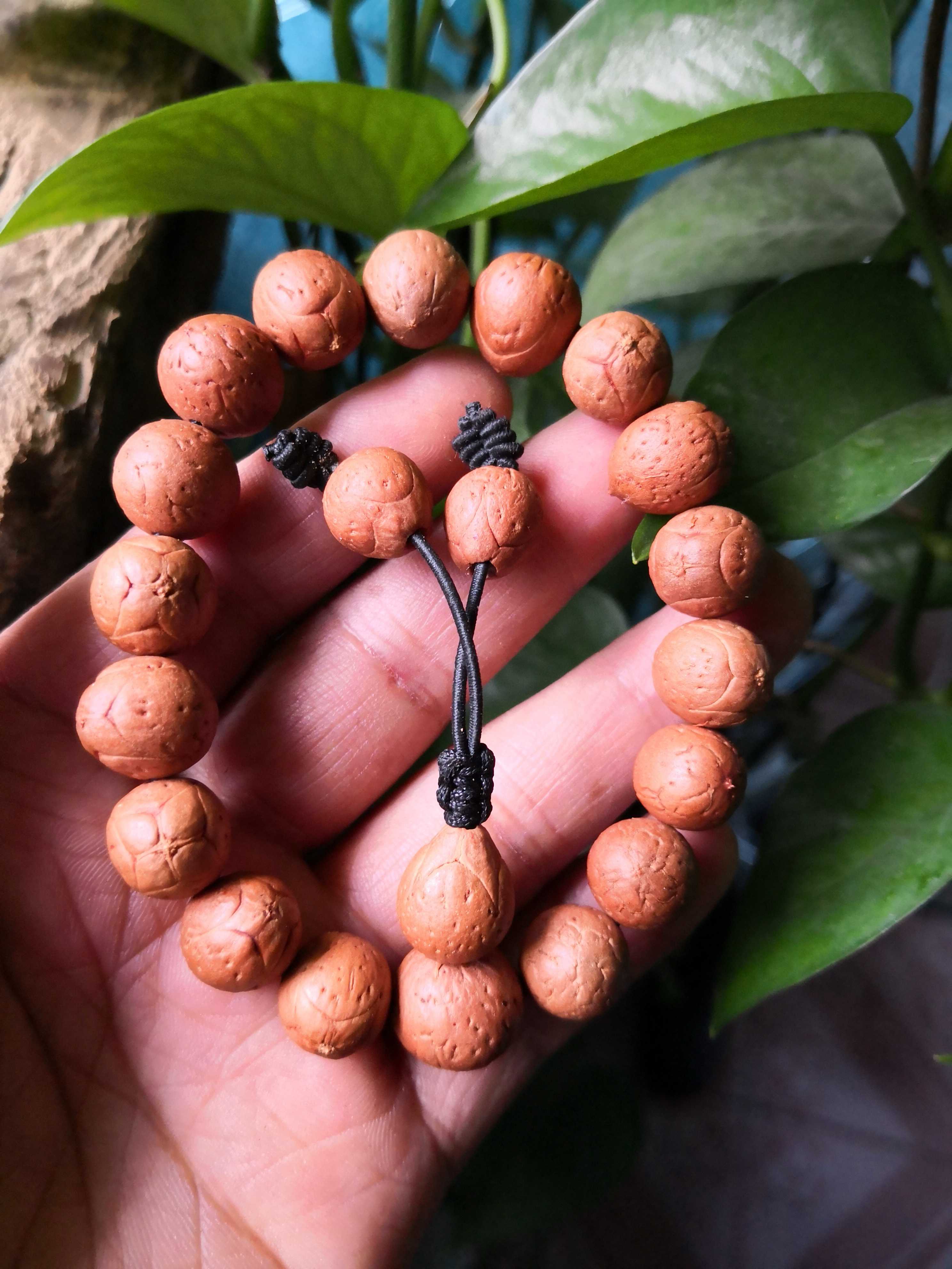 麒麟菩提手串佛珠火麒麟凤眼眼菩提子日进斗金雕刻手串