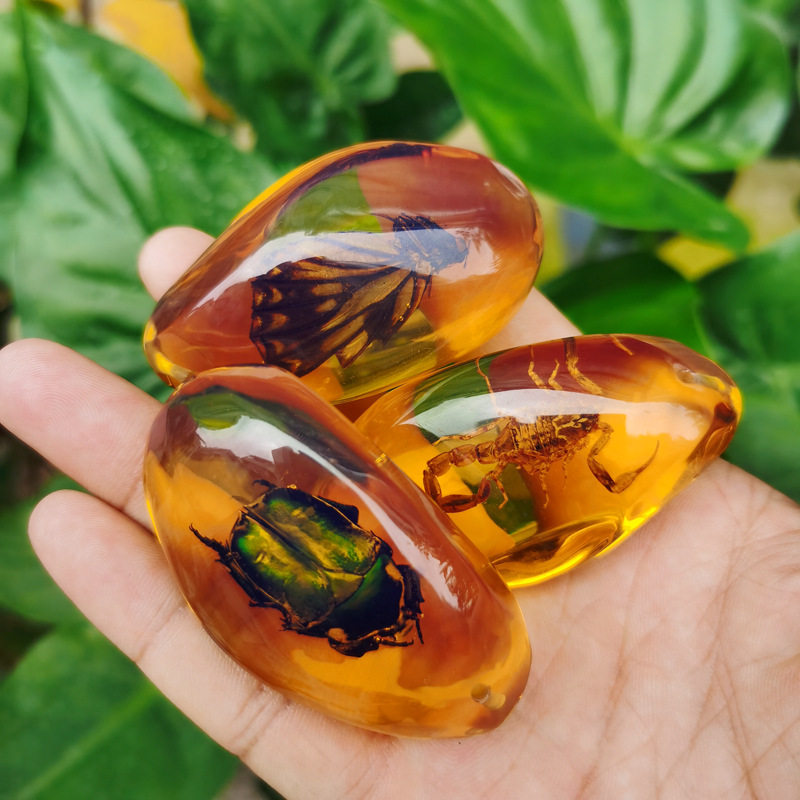 真实昆虫标本人工虫珀动物蝎子蝴蝶琥珀吊坠颈饰