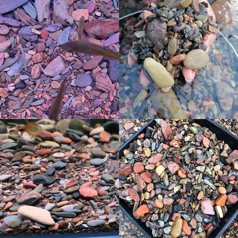 原生溪流鱼缸底沙龟缸沙子雷龙天然造景沙石造景