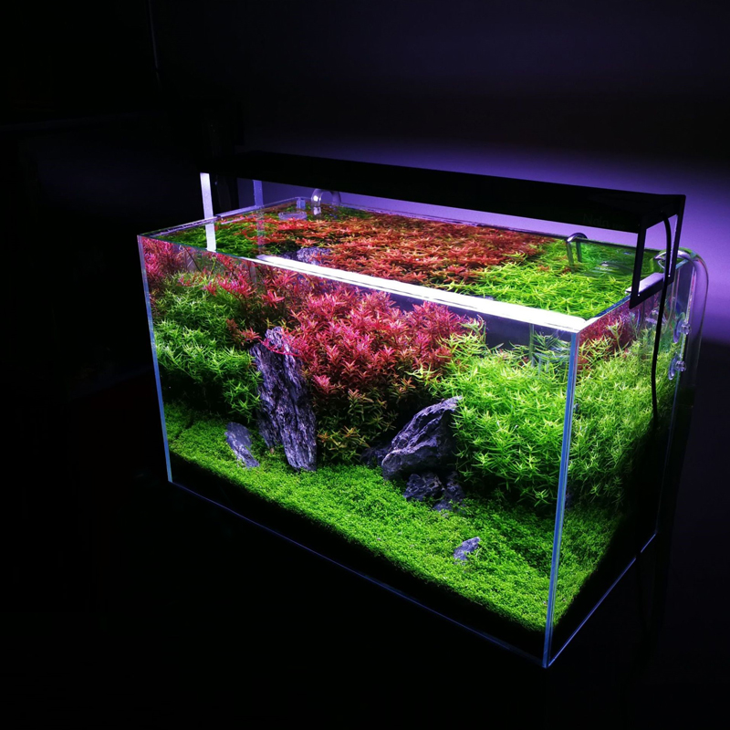 水草造景牧鱼泥草缸水族箱亚马逊ada泥鱼鱼缸底沙肥料