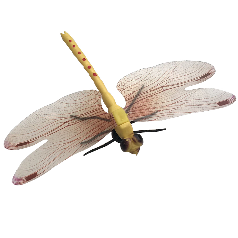 仿真昆虫模型蜻蜓3d立体工艺品卧室客厅造景冰箱磁性贴