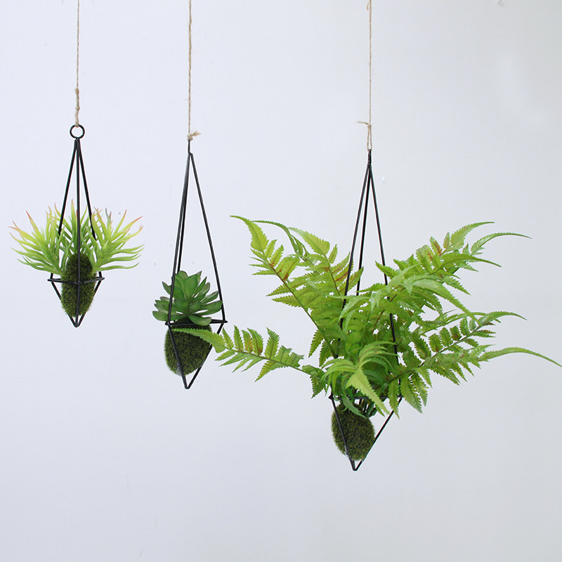 植物装饰吊挂屋内墙面挂件宿舍悬挂仿真花