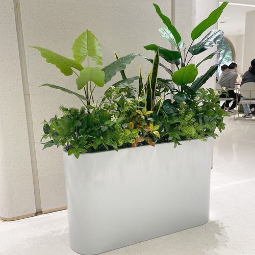 wo仿真龟背绿植混搭仙人掌花箱搭配商场户外办公区隔断装饰摆放