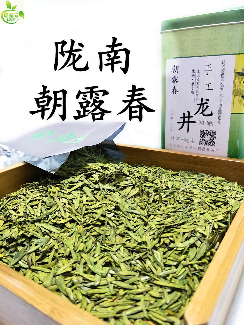 龙井文县绿茶碧口陇南2022新茶李子坝豆香龙龙井茶非西湖