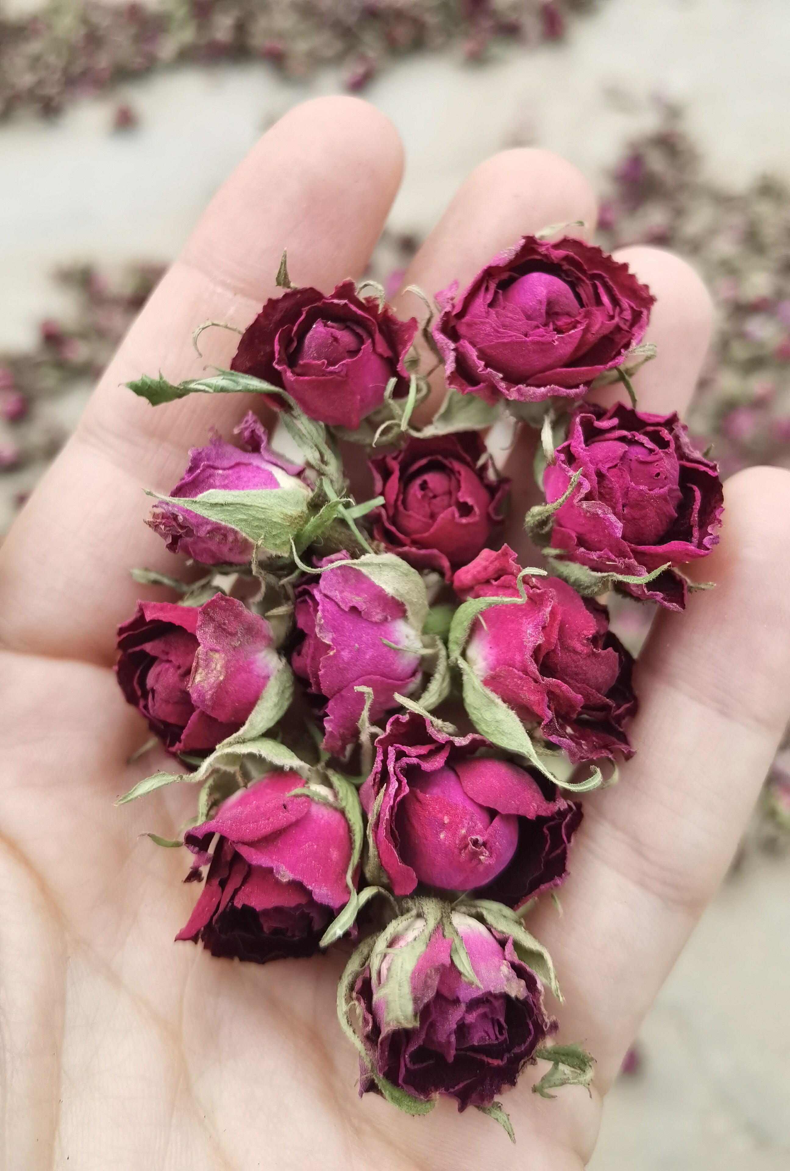 玫瑰新疆凉制地直产地花蕾花冠玫瑰花大马士革和田干花