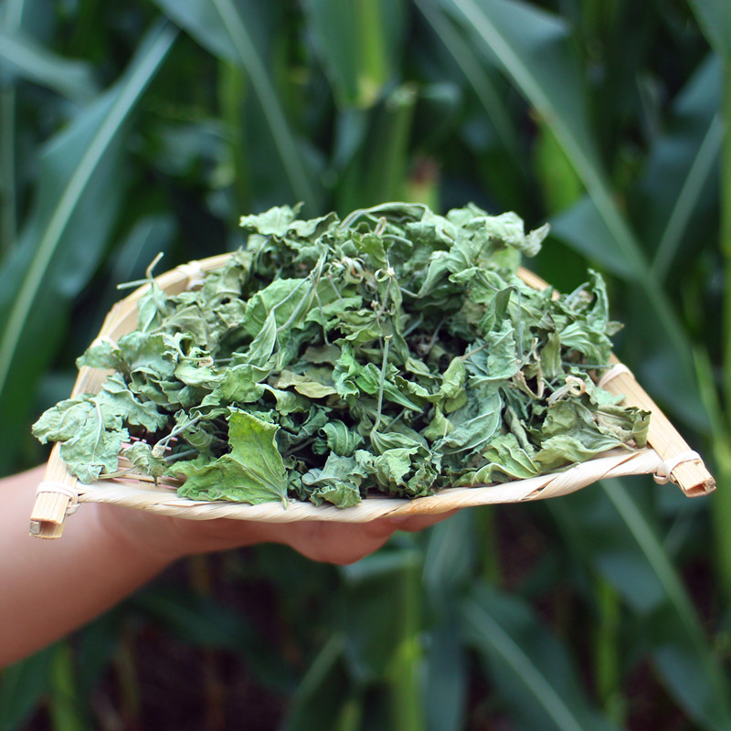 野生木槿叶木槿花小叶叶子养护护发乌发新鲜晒干传统滋补品其他