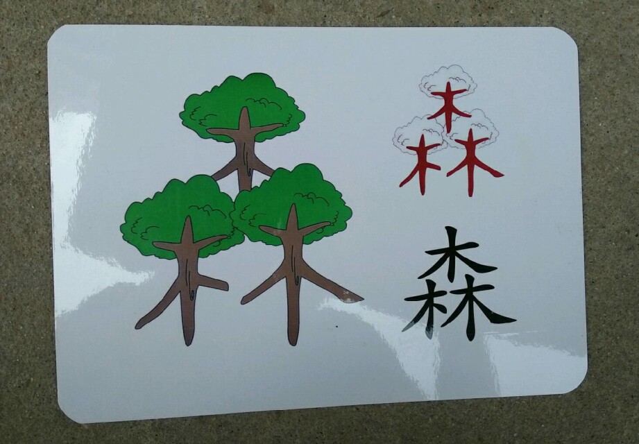 16册直映识字卡汉字卡看图识字卡学前识字卡右脑开发