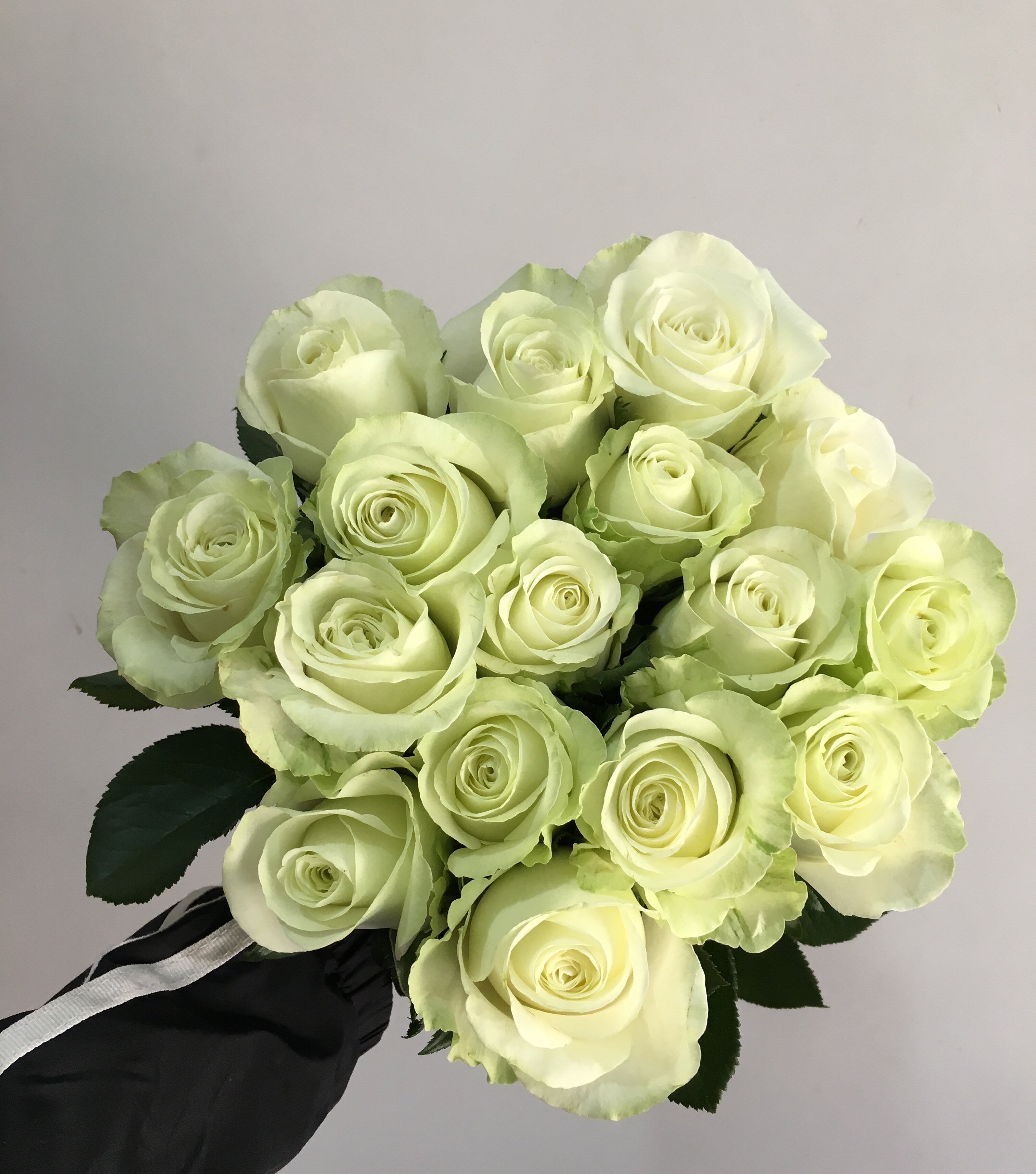 玫瑰花优质玫瑰鲜花新鲜单头雪山18支家用插花鲜花速递同城
