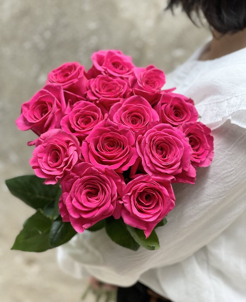 玫瑰格桑花新鲜单头花苞桃红色弗洛洛伊德基地直鲜花速递同城