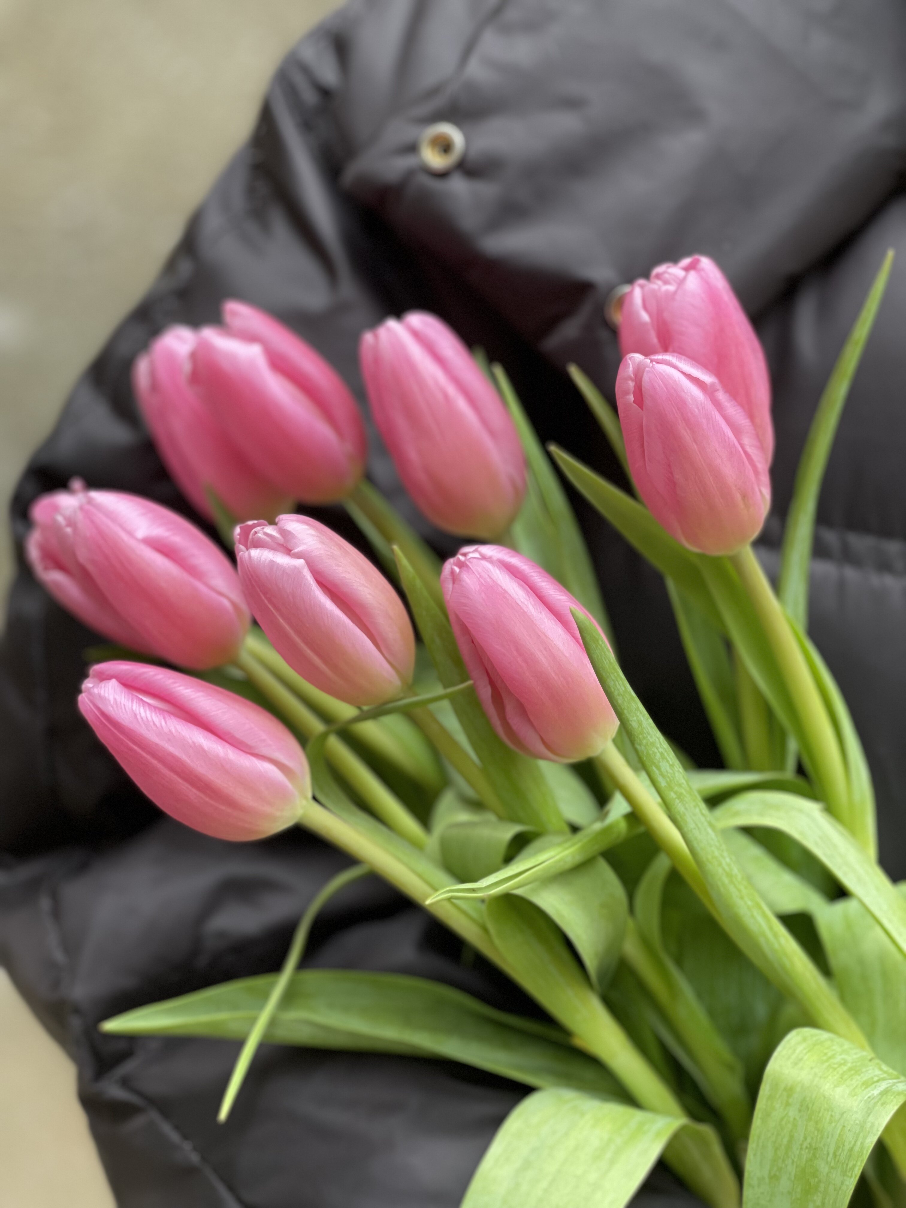 新鲜郁金香云南昆明产地地直发家家庭插花办公室鲜花速递同城