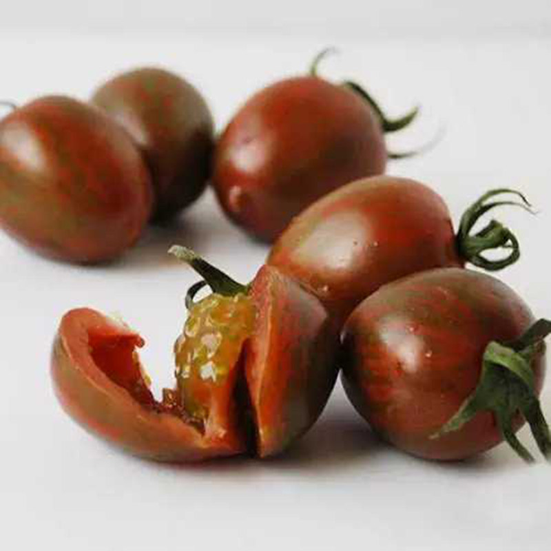 紫玉水果番茄种子紫色樱桃小番茄种籽圣女果种孑家庭园艺种子