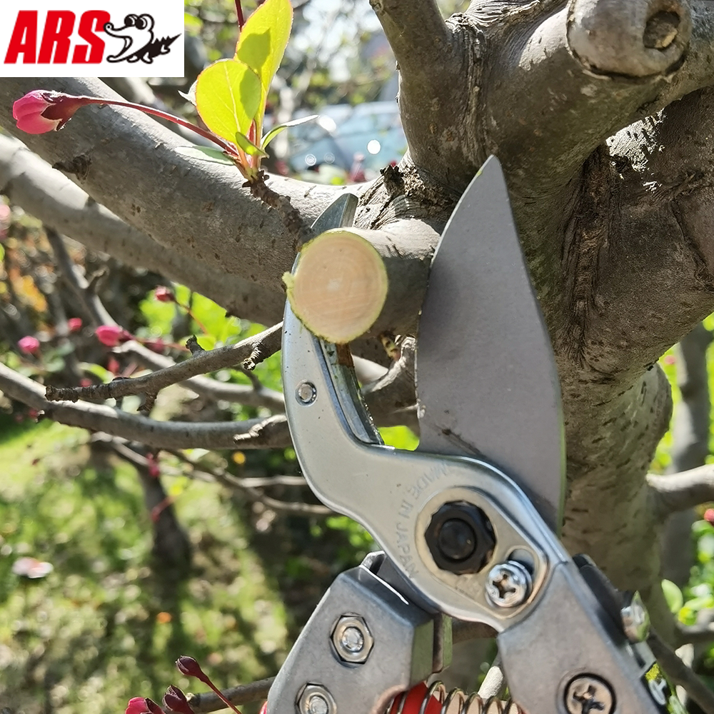 日本爱丽斯砧铁剪arsva7z8z左右手通用修枝嫁接剪刀