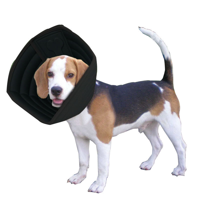 新款eva伊丽莎白骨头五边形软圈狗狗保护脖套美容项圈