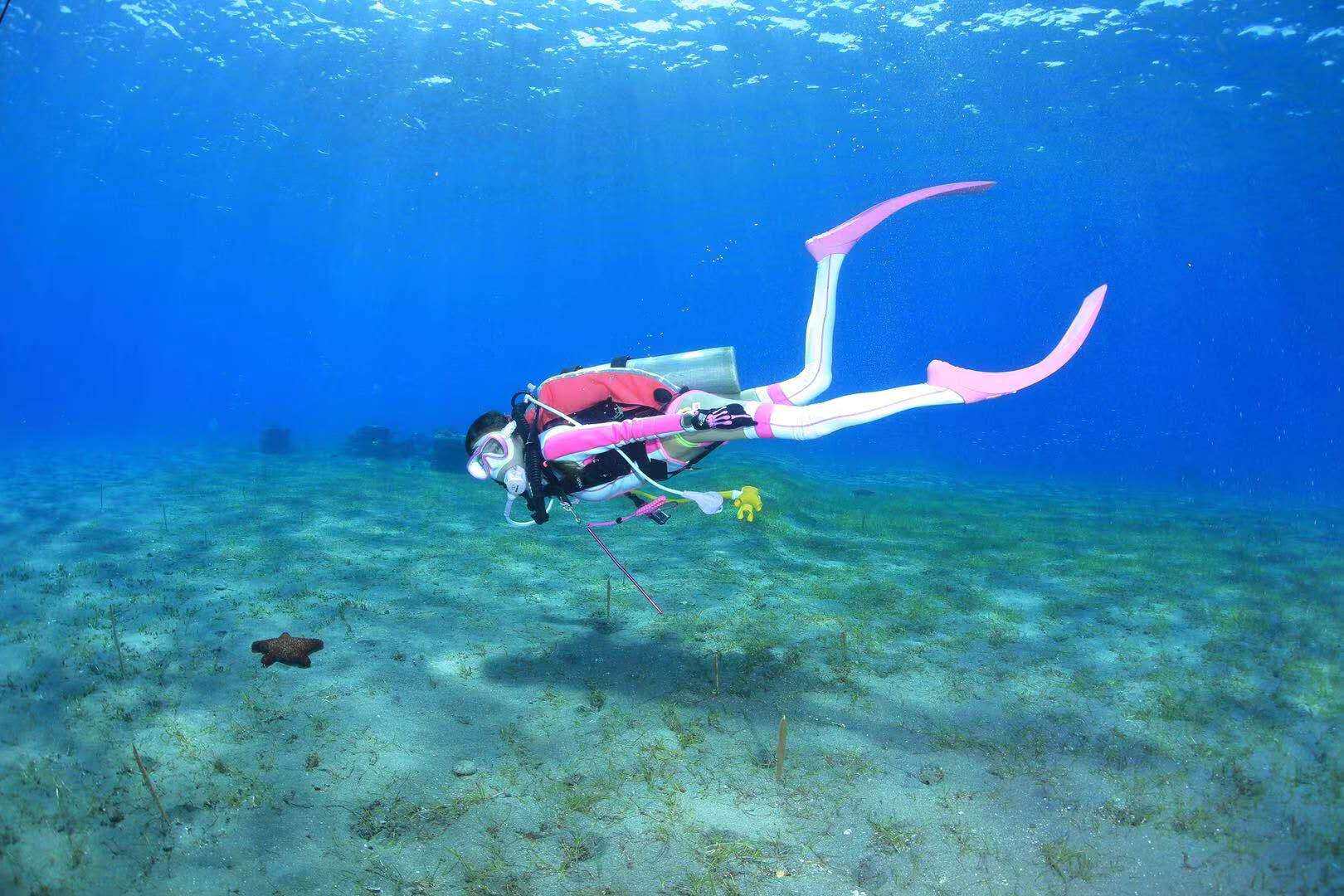 长裤悠蓝蓝鲸2530mm长袖分体连体潜水服湿式上衣速干衣裤套装