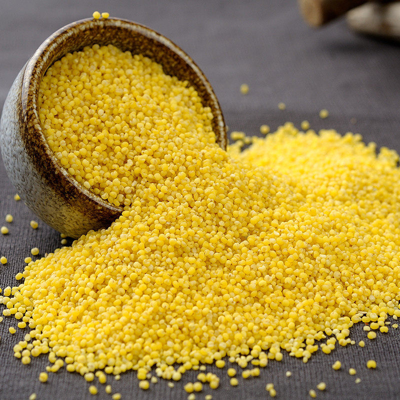 小米2020新米农家粮食米小米杂粮小黄2500g米粥小米
